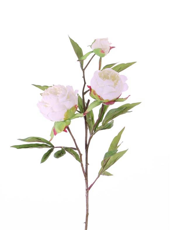 Pivonka bielá 'real touch' umelá 2 kvety (Ø 10 a Ø 8cm) , 1 púčik, 73cm