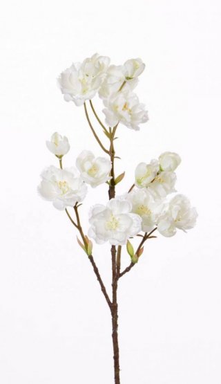 Prunus/japonská čerešňa rozkvitnutá vetvička, BIELE kvety, 55cm
