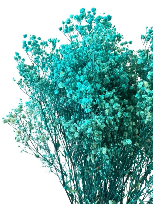 Nevěstin závoj/stabilizovaná Gypsophila svazek/kytice TYRKYSOVÁ