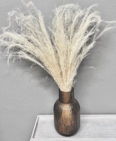 Sušená travina Agrostis bělená 40cm, svazek