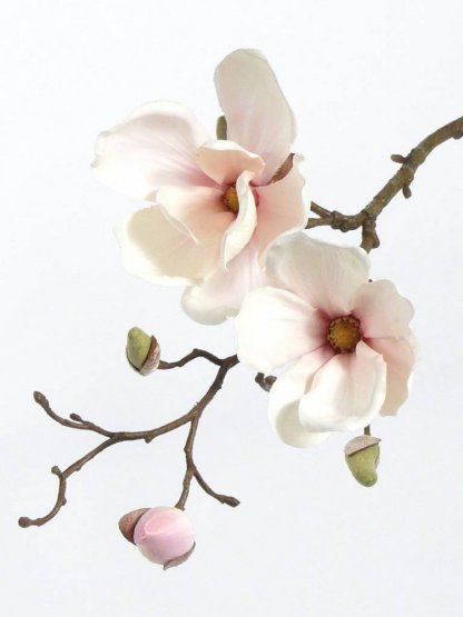 Magnolie větvička umělá krémová 2 květy (Ø 12cm,  9cm) 4 poupata, 48cm