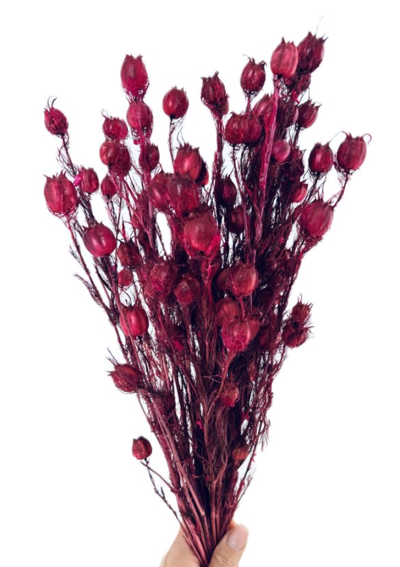Stabilizovaná černucha (Nigella) vínová svazek/kytice