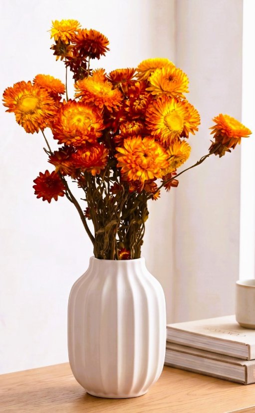 Helichrysum/slaměnka oranžová/vínová/žlutá, svazek