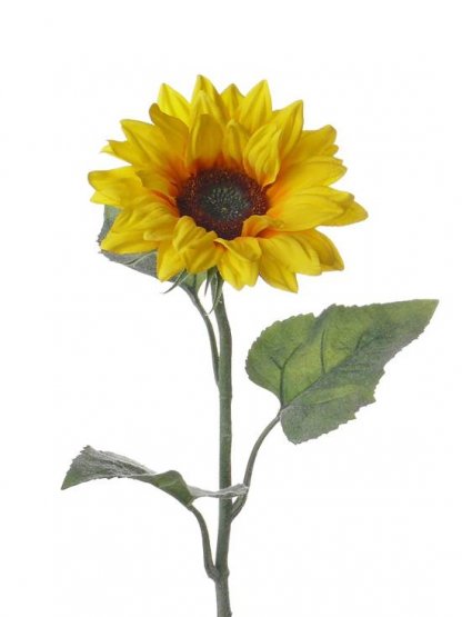 Slnečnica XL, potiahnutá stonka a listy, kvet Ø 17cm, 81cm