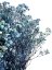 Nevěstin závoj/stabilizovaná Gypsophila svazek/kytice MODRÁ/AZUROVÁ ŽÍHANÁ