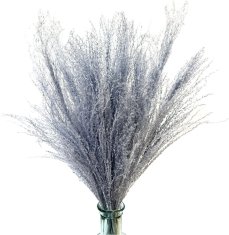 Miscanthus (Ozdobnica čínska) modrošedá, sušená tráva zväzok