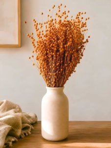 Sušený ľan oranžový, kytica/zväzok