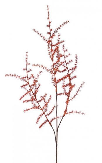 Asparagus umělá větvička REZAVÁ, jako opravdový, detaily, 73cm