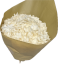 Stabilizovaná hortenzia CABEZA bielená XL