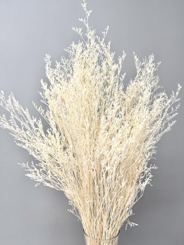Limonium/Limonka stabilizovaná bielená zväzok
