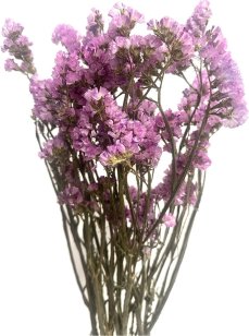 Statica sušená lila/fialovoružová 75cm zväzok/kytica 50g