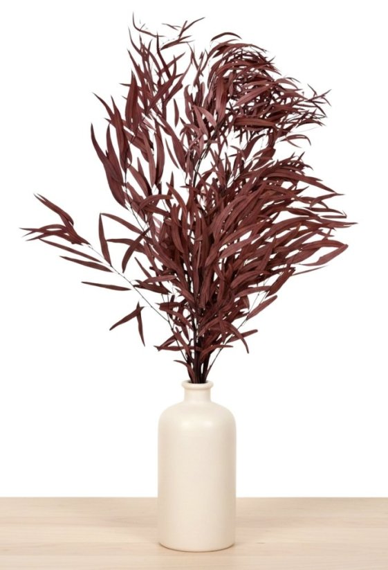 Stabilizovaný eukalyptus globulus (Nicoly), kytice/svazek vínových větvičk - Balení: 140g