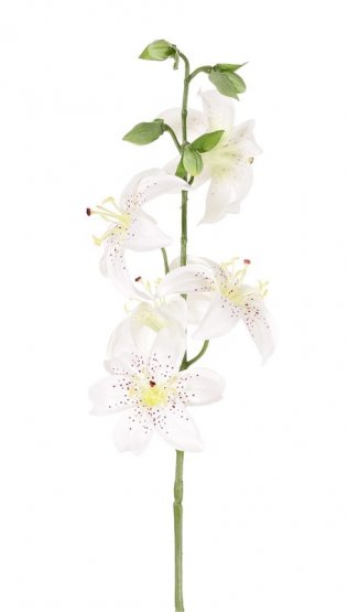 Ľalia umelá na stonke 5 kvetov Ø 8cm biela, 4 poupata, 64cm