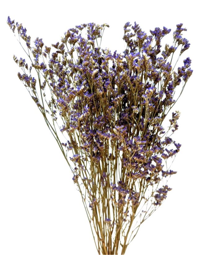 Statice/Limonka (Limonium) stabilizovaná fialová svazek 80g