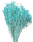 Sušený Broom Bloom azurový, kytice/svazek od 50g