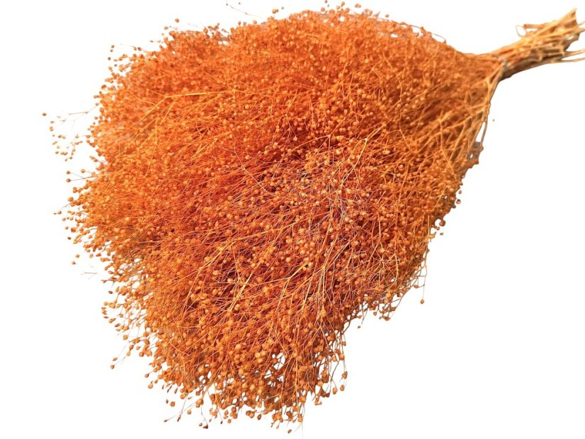 Stabilizovaná mini Gypsophila zväzok/kytica oranžová - Balenie: 90g-95g