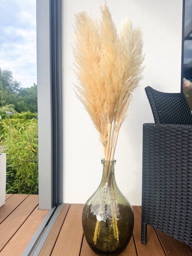 PAMPAS FLUFFY Sušená pampová tráva svetlá prírodná 80cm/100cm/120cm - Rozmer: 120cm
