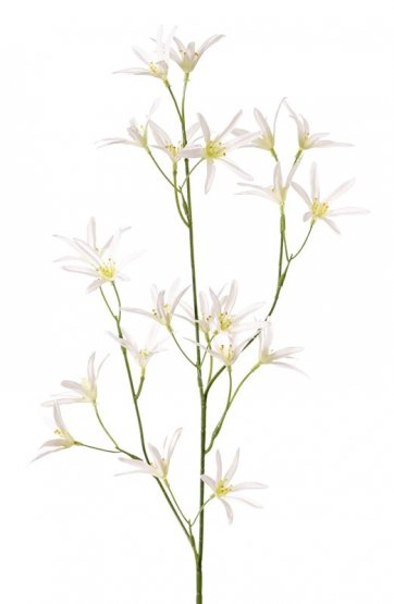 Tvídia vetvička BIELA, 21 kvetov, 73cm