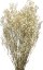 Nevěstin závoj/stabilizovaná Gypsophila zväzok/kytica prýrodná champagne - Balenie: 90g-95g