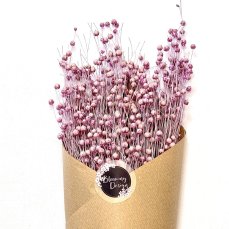 Sušený ľan lila/pastelovo ružová, kytica/zväzok