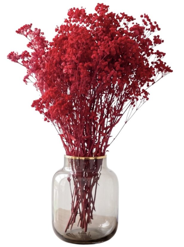 Nevěstin závoj/stabilizovaná Gypsophila svazek/kytice SYTĚ ČERVENÁ