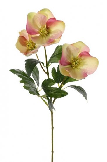 Čemeřice umělá 3 květy s listy, růžovozelená, 45cm
