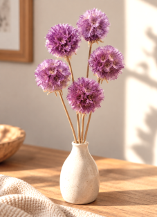 Sušená Scabiosa fialová
