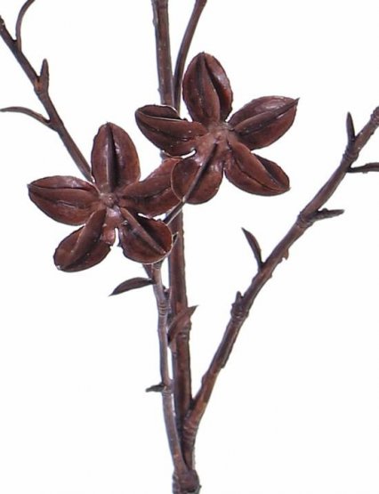 'Sušený' aníz imitácia, vetvička 11 kvetov, 63cm