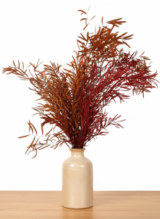 Stabilizovaný eukalyptus globulus (Nicoly), kytica/zväzok jesenné sfarbenie