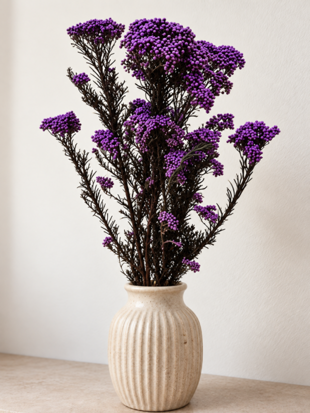 Stabilizovaný ozothamnus diosmi tmavo fialový zväzok - Balenie: 90g-95g
