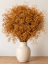Stabilizovaná mini Gypsophila zväzok/kytica terracotta - Balenie: 45g