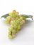 Hroznové víno zelené, prepracované detaily  28cm