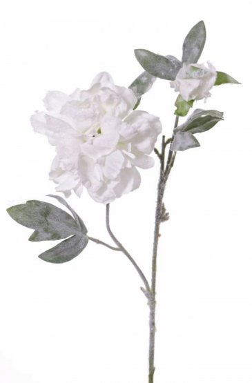 Pivonka srienistá 'frosted impression' umelá biela 1 kvet, 1 púčik 61cm