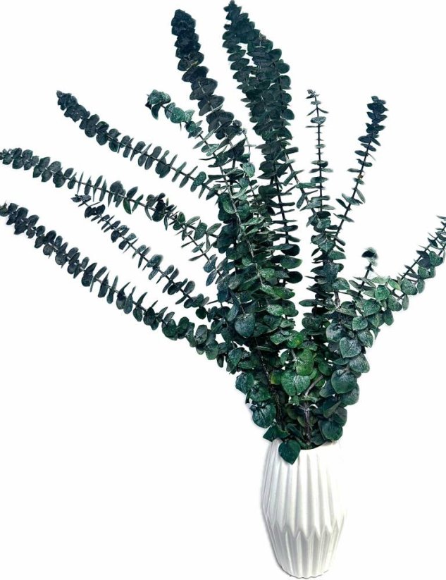 Stabilizovaný eukalyptus BABY, zväzok zelených vetvičiek