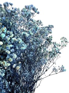 Nevěstin závoj/stabilizovaná Gypsophila svazek/kytice MODRÁ/AZUROVÁ ŽÍHANÁ