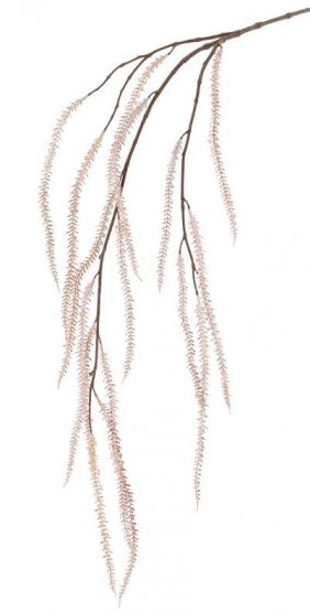 Amarant převislá větev (laskavec), přírodní vzhled, 120cm