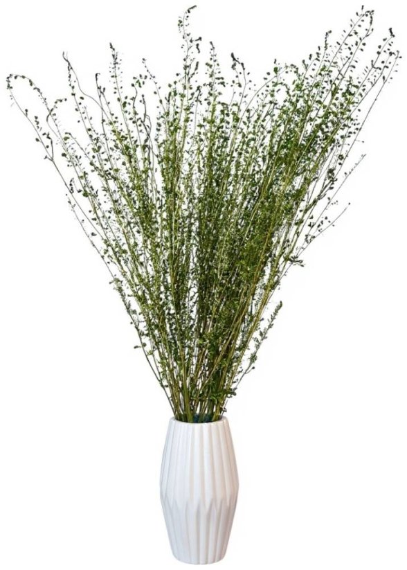 Žerucha (Lepidium) stabilizovaná zelená zväzok - Balenie: 30g