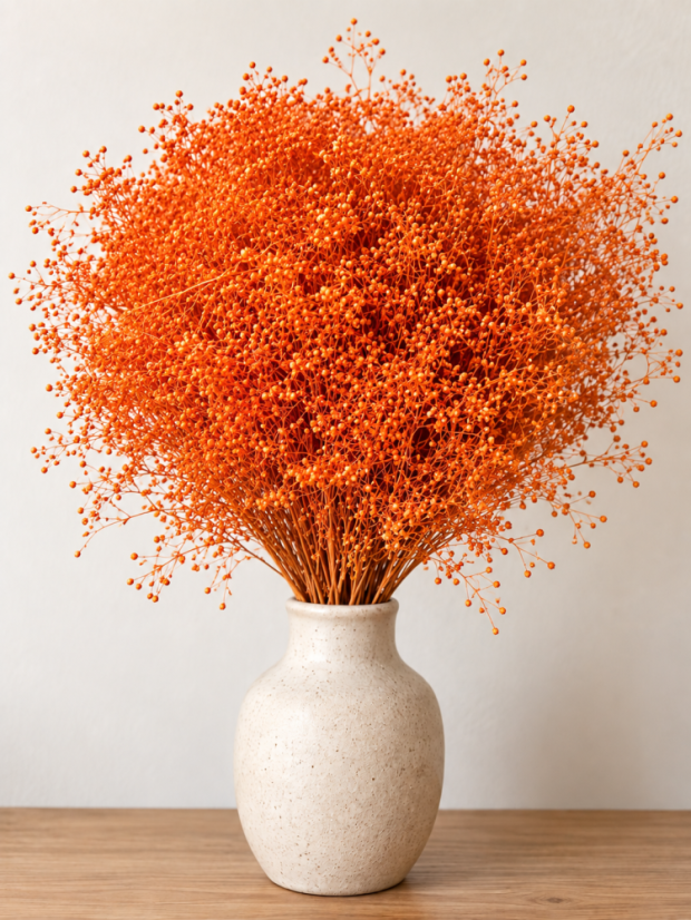 Stabilizovaná mini Gypsophila zväzok/kytica oranžová - Balenie: 90g-95g