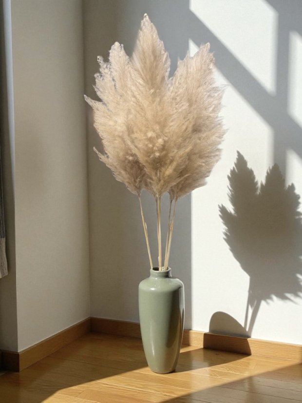Sušená pampová tráva Cortaderia Fluffy přírodně světlá 110cm-120cm Sušená pampová tráva Cortaderia Fluffy přírodně světlá 110cm-120cm