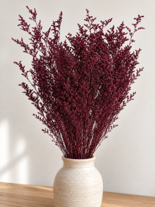 Limonium/Limonka stabilizovaná bordó svazek
