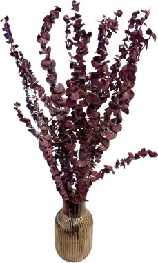 Stabilizovaný eukalyptus BABY, zväzok bordových vetvičiek