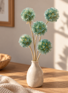 Sušená Scabiosa modrozelená