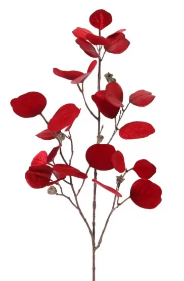 Větvička eukalyptu 'GLAMOUR' červená, plody, 83cm