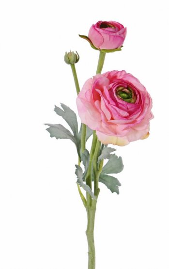 Ranunkulus/pryskyřičník květ Ø9cm, poupě Ø4cm, pupen, hebký stonek s listy, 40cm CYKLÁMOVÝ