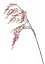 Korenie ružová vetvička umelá s drobnými bobuľami a lístkami, 84cm
