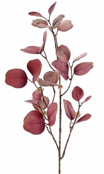 Větvička eukalyptu 'GLAMOUR' vřesová, plody, 83cm