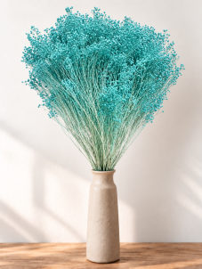 Sušený Broom Bloom azurový, kytica/zväzok