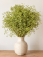 Stabilizovaná mini Gypsophila svazek/kytice zelená limetková