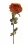 Růže vzhled sušená, nádech do oranžova, Ø 11cm, 66cm