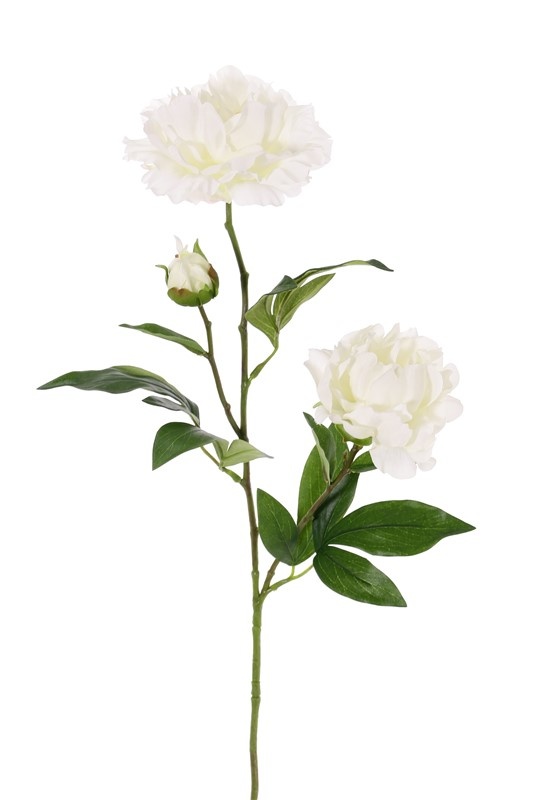 Pivonka bielá 'real touch' umelá 2 kvety (Ø 13 a Ø 10cm) , 1 púčik, 73cm